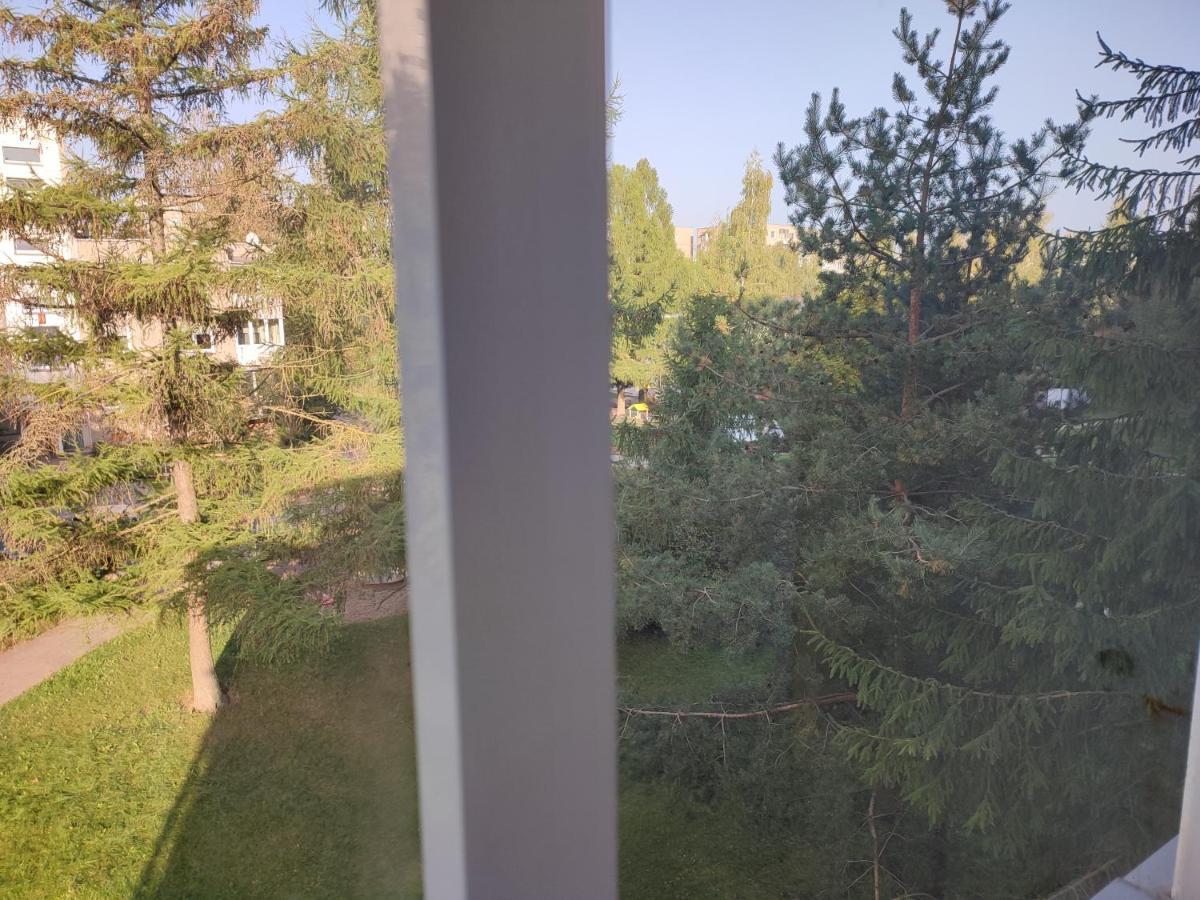 Shortstoppasilaiciai Wilno Zewnętrze zdjęcie